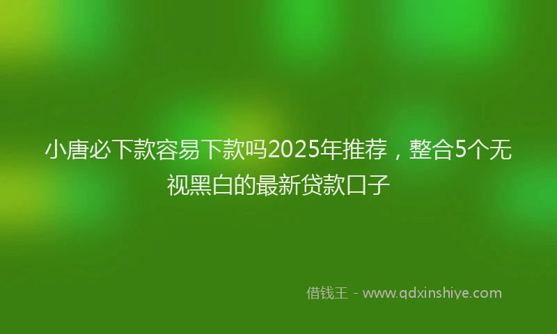 小唐必下款容易下款吗2025年推荐，整合5个无视黑白的最新贷款口子