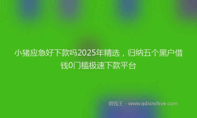 小猪应急好下款吗2025年精选，归纳五个黑户借钱0门槛极速下款平台