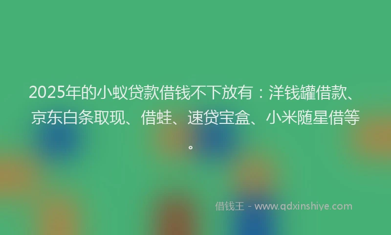 2025年的小蚁贷款借钱不下放有：洋钱罐借款、京东白条取现、借蛙、速贷宝盒、小米随星借等。