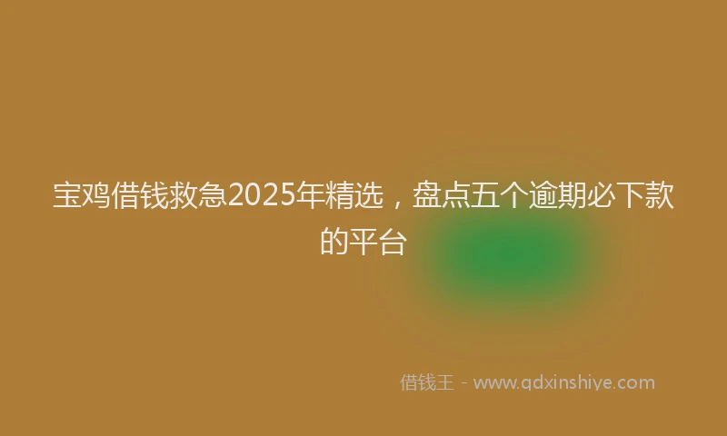宝鸡借钱救急2025年精选，盘点五个逾期必下款的平台