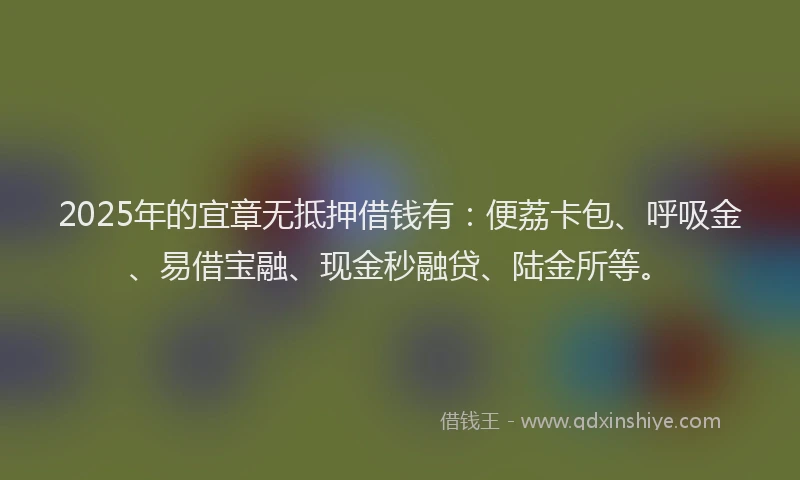 2025年的宜章无抵押借钱有：便荔卡包、呼吸金、易借宝融、现金秒融贷、陆金所等。