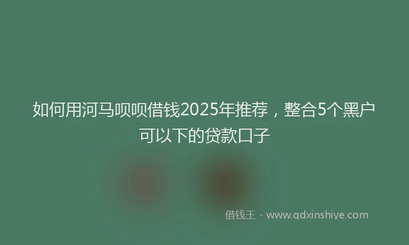 如何用河马呗呗借钱2025年推荐，整合5个黑户可以下的贷款口子