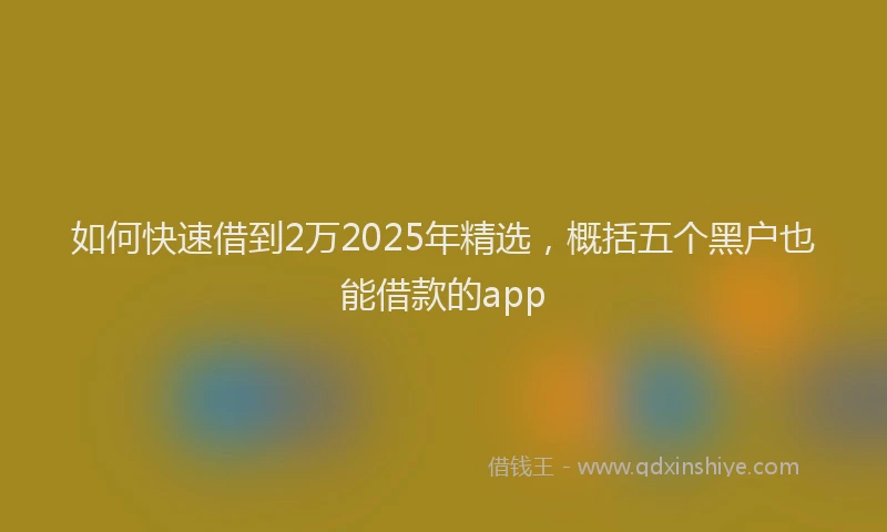 如何快速借到2万2025年精选，概括五个黑户也能借款的app