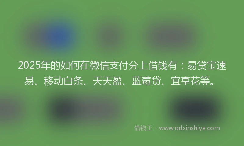 2025年的如何在微信支付分上借钱有：易贷宝速易、移动白条、天天盈、蓝莓贷、宜享花等。