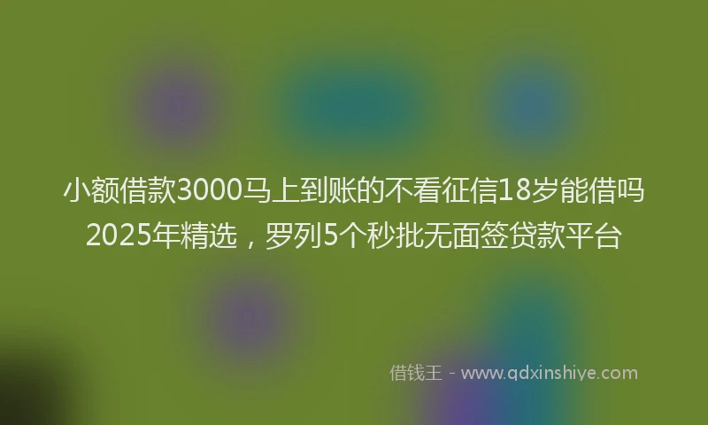 小额借款3000马上到账的不看征信18岁能借吗2025年精选，罗列5个秒批无面签贷款平台