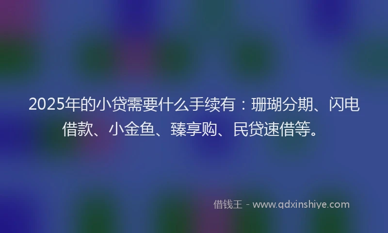 2025年的小贷需要什么手续有：珊瑚分期、闪电借款、小金鱼、臻享购、民贷速借等。