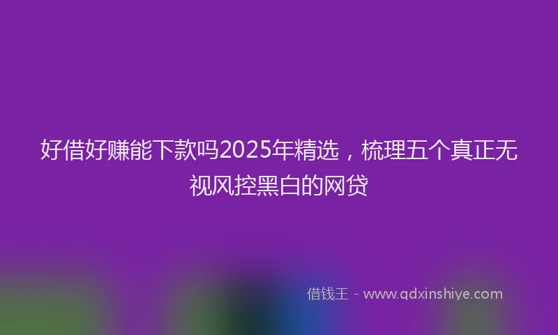 好借好赚能下款吗2025年精选，梳理五个真正无视风控黑白的网贷