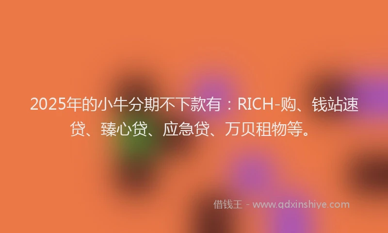 2025年的小牛分期不下款有：RICH-购、钱站速贷、臻心贷、应急贷、万贝租物等。