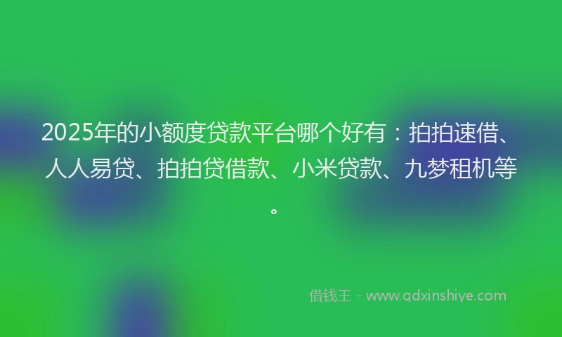 2025年的小额度贷款平台哪个好有：拍拍速借、人人易贷、拍拍贷借款、小米贷款、九梦租机等。