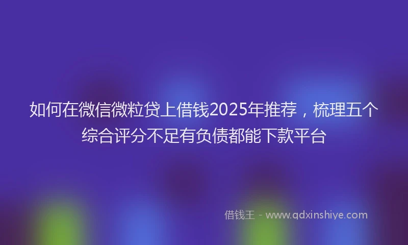 如何在微信微粒贷上借钱2025年推荐，梳理五个综合评分不足有负债都能下款平台