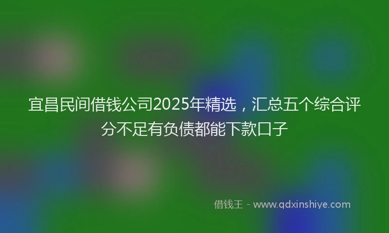 宜昌民间借钱公司2025年精选，汇总五个综合评分不足有负债都能下款口子