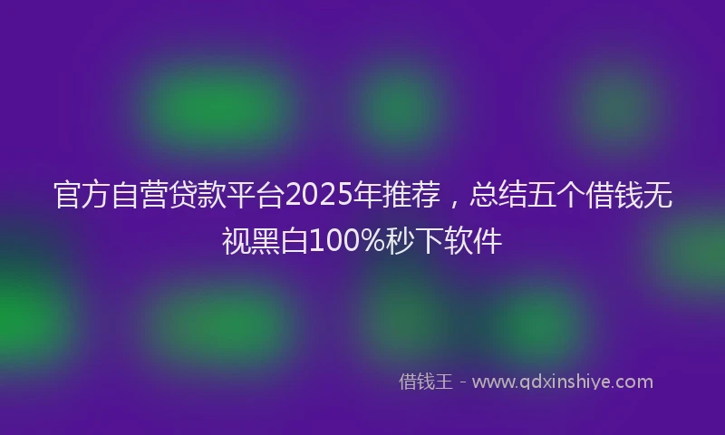 官方自营贷款平台2025年推荐，总结五个借钱无视黑白100%秒下软件