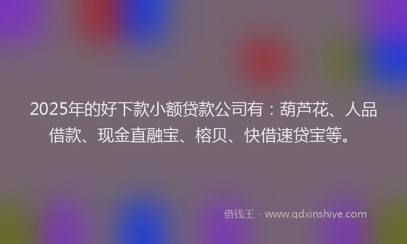 2025年的好下款小额贷款公司有：葫芦花、人品借款、现金直融宝、榕贝、快借速贷宝等。