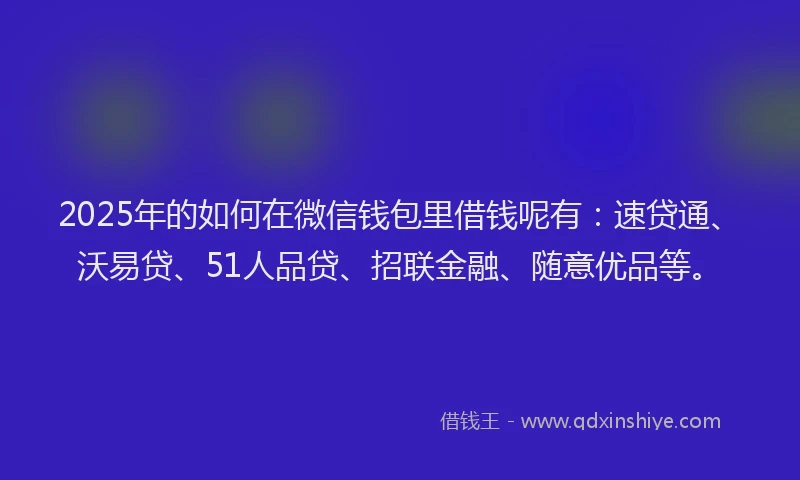 2025年的如何在微信钱包里借钱呢有：速贷通、沃易贷、51人品贷、招联金融、随意优品等。