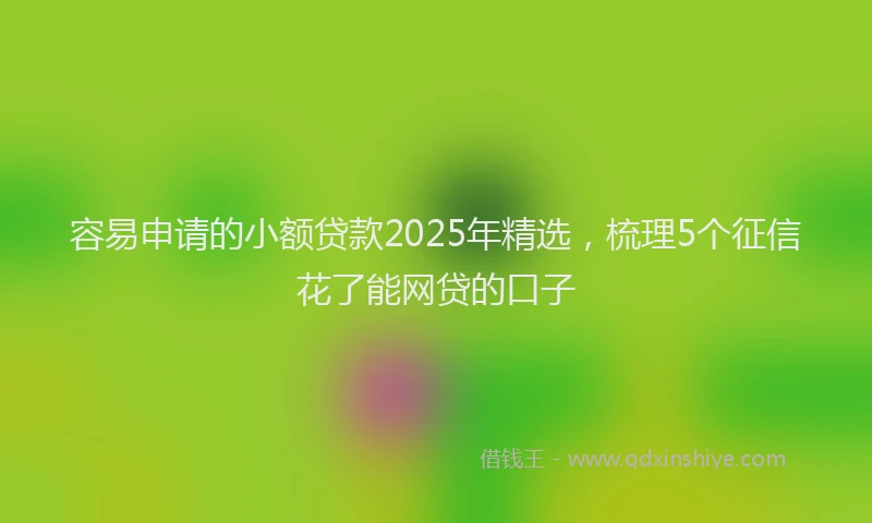 容易申请的小额贷款2025年精选，梳理5个征信花了能网贷的口子