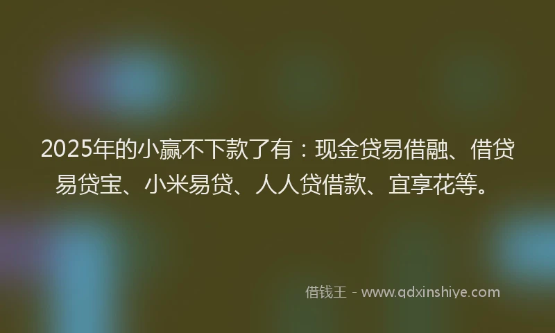2025年的小赢不下款了有：现金贷易借融、借贷易贷宝、小米易贷、人人贷借款、宜享花等。