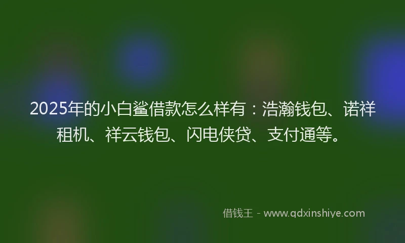 2025年的小白鲨借款怎么样有：浩瀚钱包、诺祥租机、祥云钱包、闪电侠贷、支付通等。