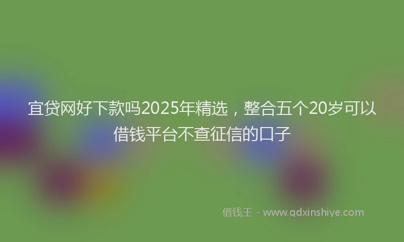 宜贷网好下款吗2025年精选，整合五个20岁可以借钱平台不查征信的口子