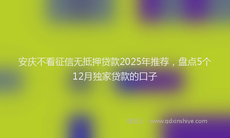 安庆不看征信无抵押贷款2025年推荐，盘点5个12月独家贷款的口子
