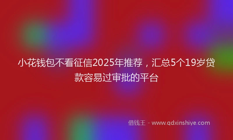 小花钱包不看征信2025年推荐，汇总5个19岁贷款容易过审批的平台