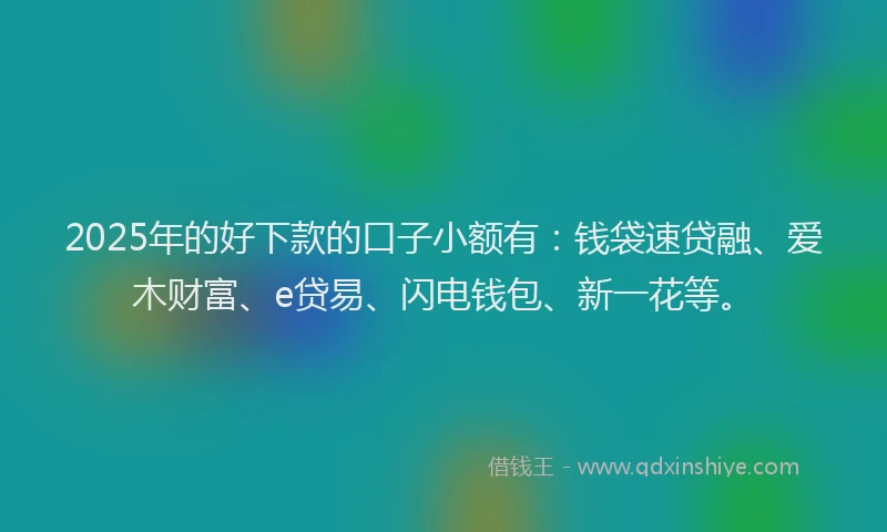2025年的好下款的口子小额有：钱袋速贷融、爱木财富、e贷易、闪电钱包、新一花等。