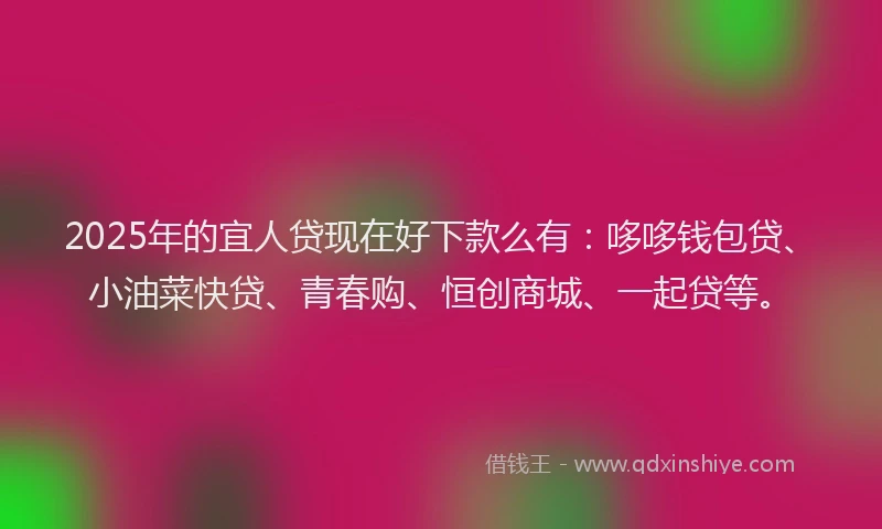 2025年的宜人贷现在好下款么有：哆哆钱包贷、小油菜快贷、青春购、恒创商城、一起贷等。