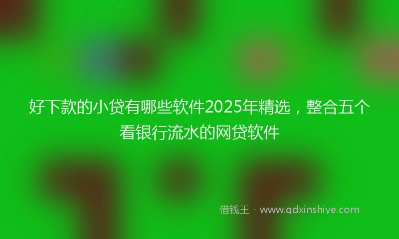 好下款的小贷有哪些软件2025年精选，整合五个看银行流水的网贷软件