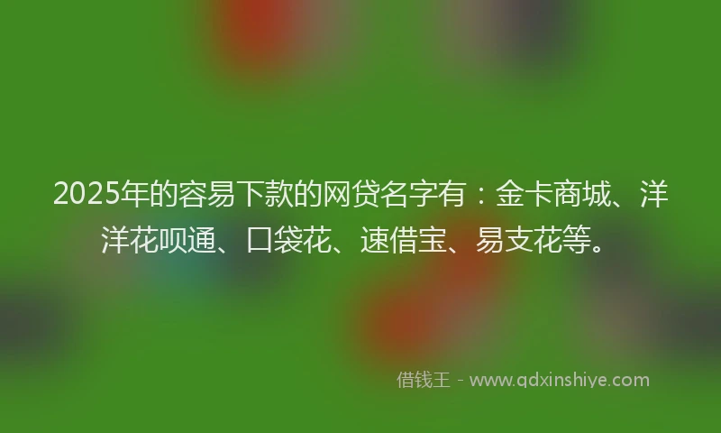 2025年的容易下款的网贷名字有：金卡商城、洋洋花呗通、口袋花、速借宝、易支花等。
