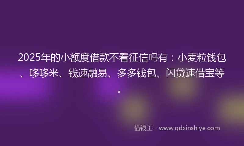 2025年的小额度借款不看征信吗有：小麦粒钱包、哆哆米、钱速融易、多多钱包、闪贷速借宝等。