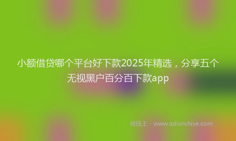 小额借贷哪个平台好下款2025年精选，分享五个无视黑户百分百下款app