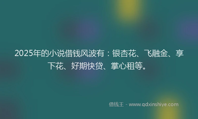 2025年的小说借钱风波有：银杏花、飞融金、享下花、好期快贷、掌心租等。