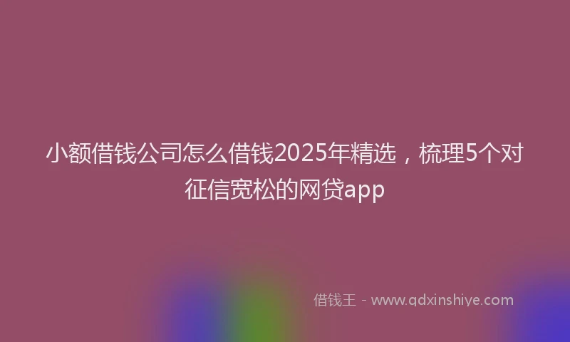 小额借钱公司怎么借钱2025年精选，梳理5个对征信宽松的网贷app