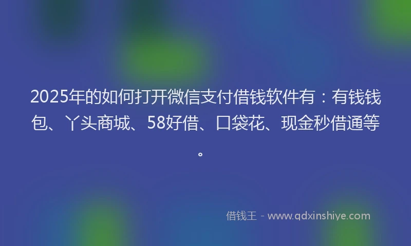 2025年的如何打开微信支付借钱软件有：有钱钱包、丫头商城、58好借、口袋花、现金秒借通等。