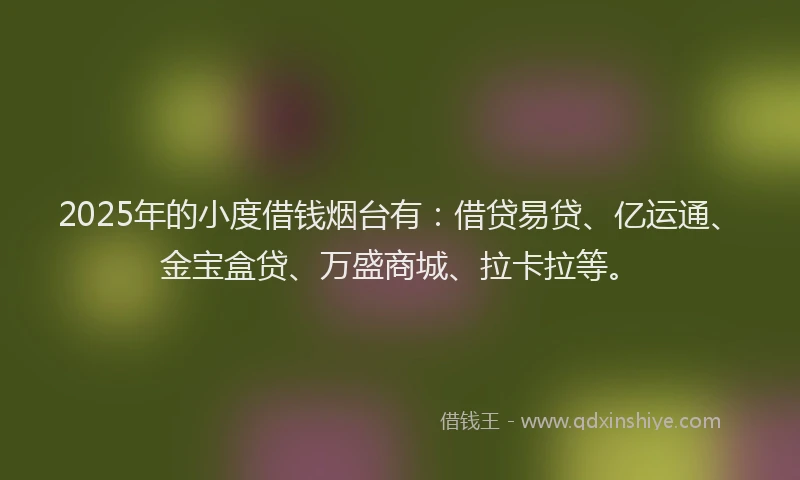 2025年的小度借钱烟台有：借贷易贷、亿运通、金宝盒贷、万盛商城、拉卡拉等。