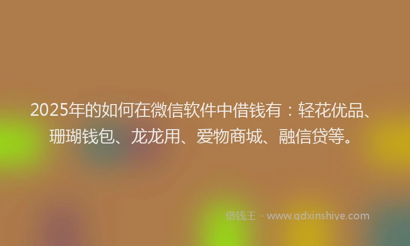 2025年的如何在微信软件中借钱有：轻花优品、珊瑚钱包、龙龙用、爱物商城、融信贷等。
