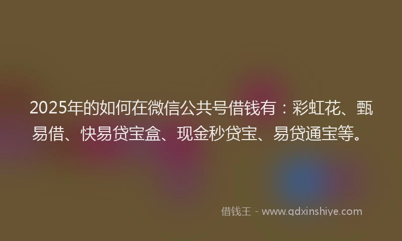 2025年的如何在微信公共号借钱有：彩虹花、甄易借、快易贷宝盒、现金秒贷宝、易贷通宝等。