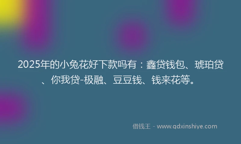 2025年的小兔花好下款吗有：鑫贷钱包、琥珀贷、你我贷-极融、豆豆钱、钱来花等。