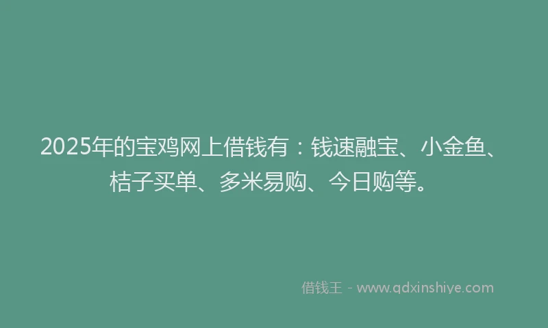 2025年的宝鸡网上借钱有：钱速融宝、小金鱼、桔子买单、多米易购、今日购等。