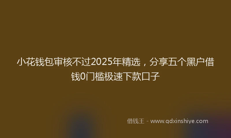 小花钱包审核不过2025年精选，分享五个黑户借钱0门槛极速下款口子