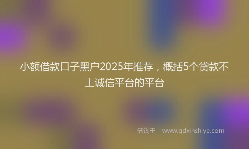 小额借款口子黑户2025年推荐，概括5个贷款不上诚信平台的平台