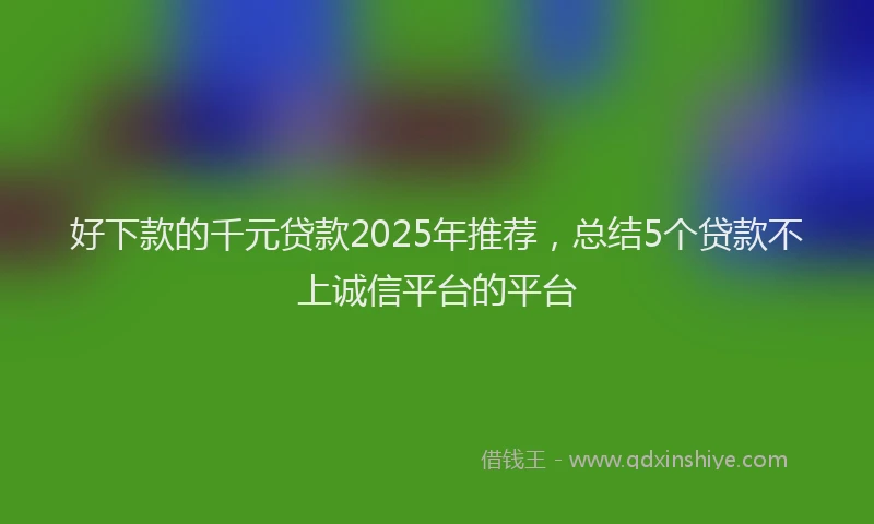 好下款的千元贷款2025年推荐，总结5个贷款不上诚信平台的平台