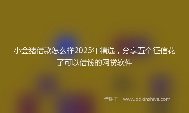 小金猪借款怎么样2025年精选，分享五个征信花了可以借钱的网贷软件