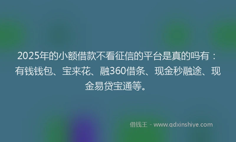 2025年的小额借款不看征信的平台是真的吗有：有钱钱包、宝来花、融360借条、现金秒融途、现金易贷宝通等。