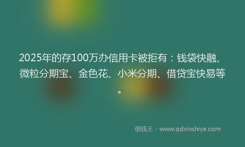 2025年的存100万办信用卡被拒有：钱袋快融、微粒分期宝、金色花、小米分期、借贷宝快易等。