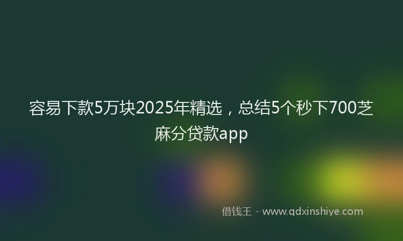 容易下款5万块2025年精选，总结5个秒下700芝麻分贷款app