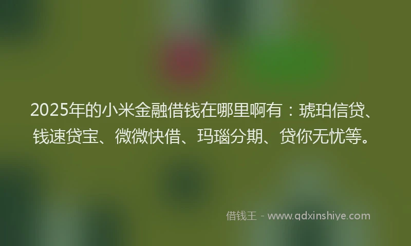 2025年的小米金融借钱在哪里啊有：琥珀信贷、钱速贷宝、微微快借、玛瑙分期、贷你无忧等。