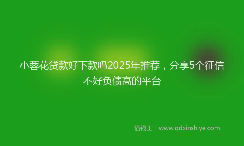 小蓉花贷款好下款吗2025年推荐，分享5个征信不好负债高的平台