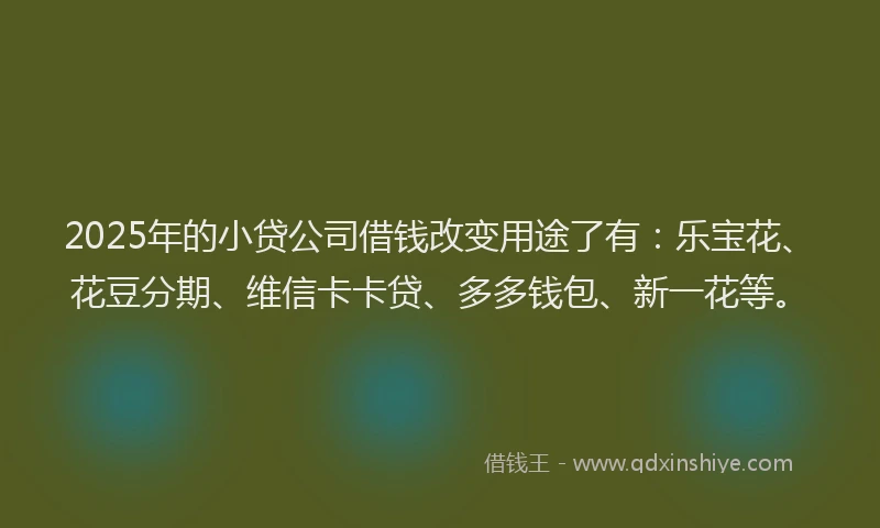 2025年的小贷公司借钱改变用途了有：乐宝花、花豆分期、维信卡卡贷、多多钱包、新一花等。