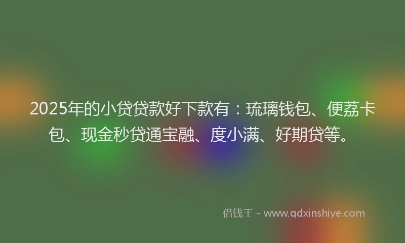 2025年的小贷贷款好下款有：琉璃钱包、便荔卡包、现金秒贷通宝融、度小满、好期贷等。
