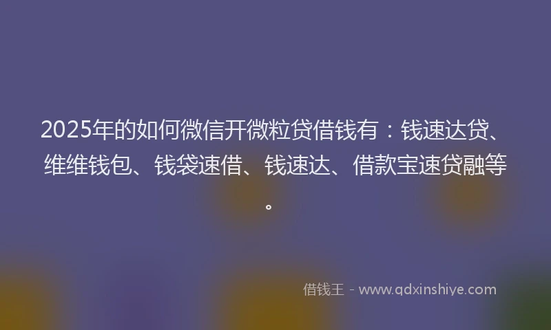 2025年的如何微信开微粒贷借钱有：钱速达贷、维维钱包、钱袋速借、钱速达、借款宝速贷融等。